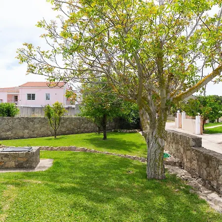 Vasilopoulos Residences - Ioni & Neso *